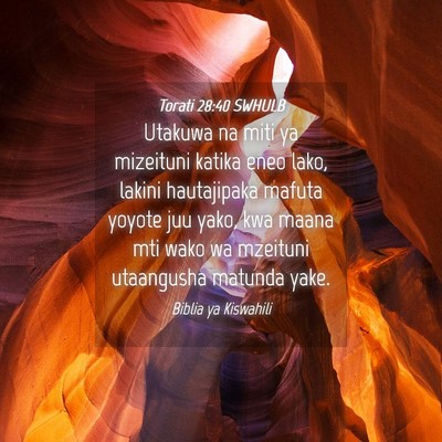 Picture 04 - Torati 28:40 SWHULB - Utakuwa na miti ya mizeituni katika eneo lako, - Bible Verse Picture