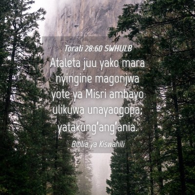 Picture 04 - Torati 28:60 SWHULB - Ataleta juu yako mara nyingine magonjwa yote ya - Bible Verse Picture