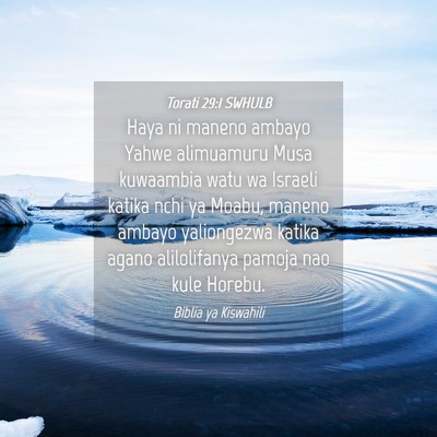 Picture 04 - Torati 29:1 SWHULB - Haya ni maneno ambayo Yahwe alimuamuru Musa - Bible Verse Picture