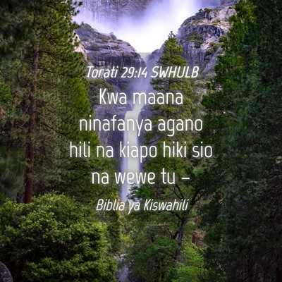 Picture 04 - Torati 29:14 SWHULB - Kwa maana ninafanya agano hili na kiapo hiki sio - Bible Verse Picture
