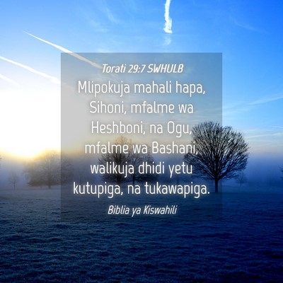 Picture 04 - Torati 29:7 SWHULB - Mlipokuja mahali hapa, Sihoni, mfalme wa - Bible Verse Picture