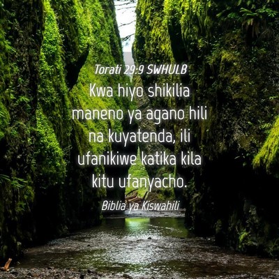 Picture 04 - Torati 29:9 SWHULB - Kwa hiyo shikilia maneno ya agano hili na - Bible Verse Picture