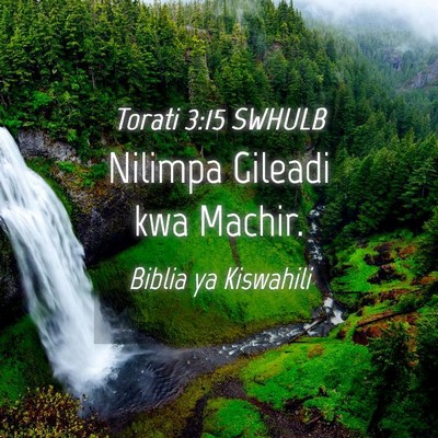 Picture 04 - Torati 3:15 SWHULB - Nilimpa Gileadi kwa - Bible Verse Picture
