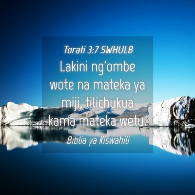 Picture 04 - Torati 3:7 SWHULB - Lakini ng'ombe wote na mateka ya miji, tilichukua - Bible Verse Picture