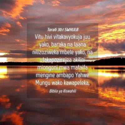 Picture 04 - Torati 30:1 SWHULB - Vitu hivi vitakavyokuja juu yako, baraka na laana - Bible Verse Picture