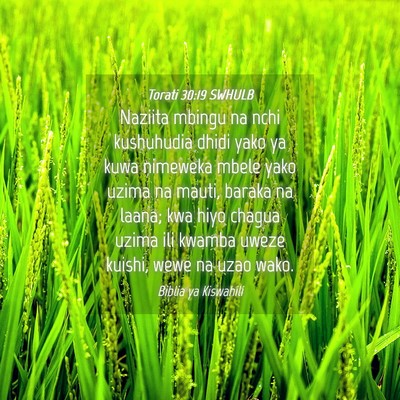 Picture 04 - Torati 30:19 SWHULB - Naziita mbingu na nchi kushuhudia dhidi yako ya - Bible Verse Picture