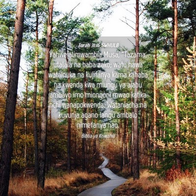 Picture 04 - Torati 31:16 SWHULB - Yahwe alimwambia Musa, “Tazama, utalala na baba - Bible Verse Picture