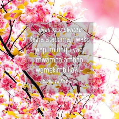 Picture 04 - Torati 32:37 SWHULB - Kisha atasema, “wako wapi miungu yao, mwamba - Bible Verse Picture