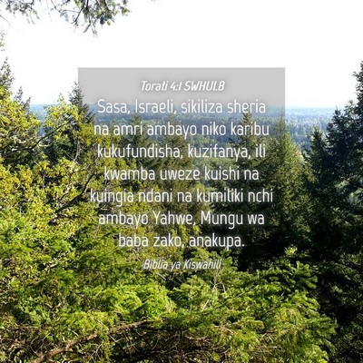 Picture 04 - Torati 4:1 SWHULB - Sasa, Israeli, sikiliza sheria na amri ambayo - Bible Verse Picture