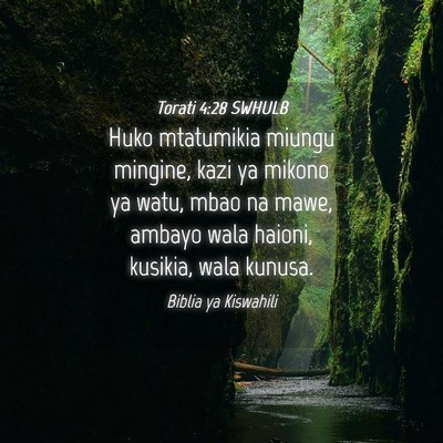 Picture 04 - Torati 4:28 SWHULB - Huko mtatumikia miungu mingine, kazi ya mikono ya - Bible Verse Picture