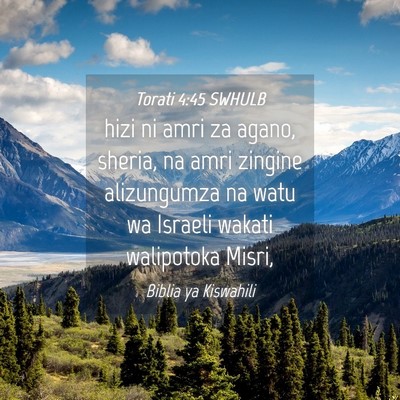 Picture 04 - Torati 4:45 SWHULB - hizi ni amri za agano, sheria, na amri zingine - Bible Verse Picture