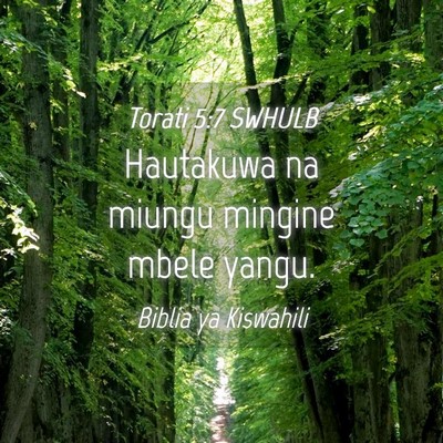 Picture 04 - Torati 5:7 SWHULB - Hautakuwa na miungu mingine mbele - Bible Verse Picture