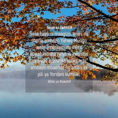 Picture 04 - Torati 6:1 SWHULB - Sasa haya ni maagizo, amri, na sheria ambazo - Bible Verse Picture