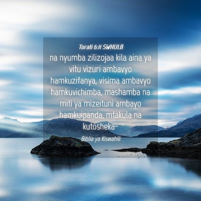Picture 04 - Torati 6:11 SWHULB - na nyumba zilizojaa kila aina ya vitu vizuri - Bible Verse Picture