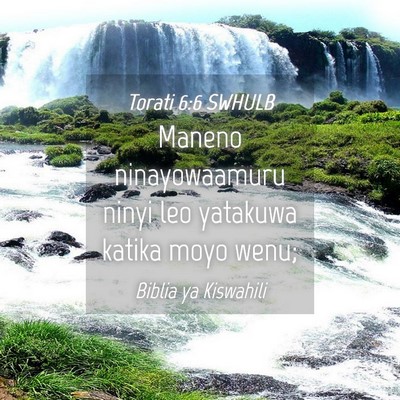 Picture 04 - Torati 6:6 SWHULB - Maneno ninayowaamuru ninyi leo yatakuwa katika - Bible Verse Picture