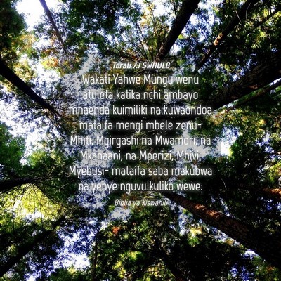 Picture 04 - Torati 7:1 SWHULB - Wakati Yahwe Mungu wenu atuleta katika nchi - Bible Verse Picture