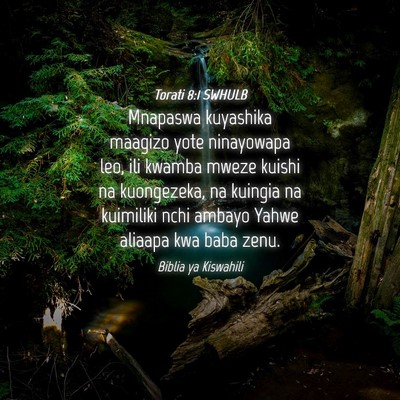 Picture 04 - Torati 8:1 SWHULB - Mnapaswa kuyashika maagizo yote ninayowapa leo, - Bible Verse Picture