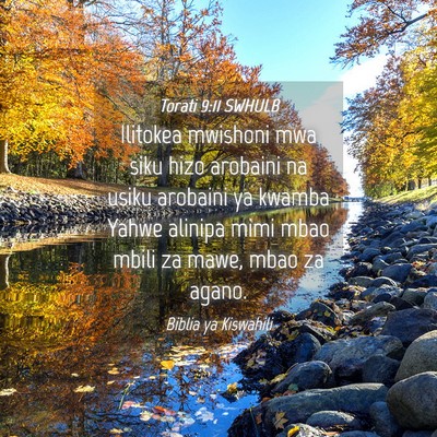 Picture 04 - Torati 9:11 SWHULB - Ilitokea mwishoni mwa siku hizo arobaini na usiku - Bible Verse Picture