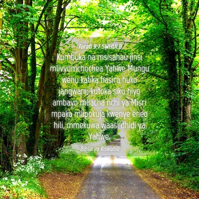 Picture 04 - Torati 9:7 SWHULB - Kumbuka na msisahau jinsi mlivyomchochea Yahwe - Bible Verse Picture