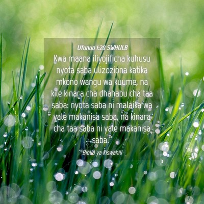 Picture 04 - Ufunuo 1:20 SWHULB - Kwa maana iliyojificha kuhusu nyota saba - Bible Verse Picture
