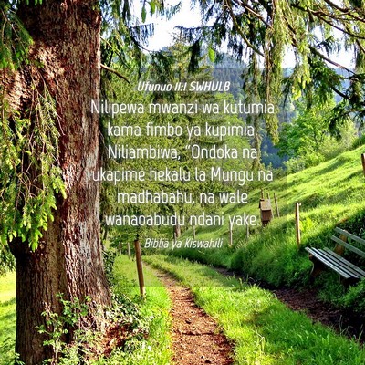 Picture 04 - Ufunuo 11:1 SWHULB - Nilipewa mwanzi wa kutumia kama fimbo ya kupimia. - Bible Verse Picture