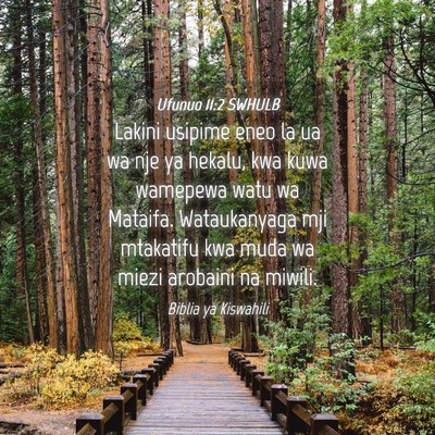 Picture 04 - Ufunuo 11:2 SWHULB - Lakini usipime eneo la ua wa nje ya hekalu, kwa - Bible Verse Picture