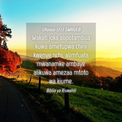 Picture 04 - Ufunuo 12:13 SWHULB - Wakati joka alipotambua kuwa ametupwa chini - Bible Verse Picture
