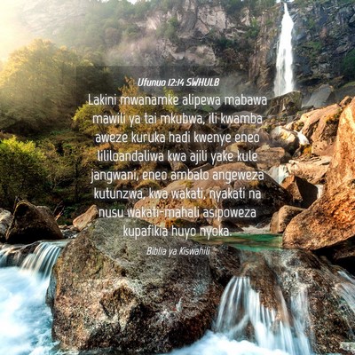 Picture 04 - Ufunuo 12:14 SWHULB - Lakini mwanamke alipewa mabawa mawili ya tai - Bible Verse Picture