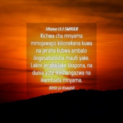 Picture 04 - Ufunuo 13:3 SWHULB - Kichwa cha mnyama mmojawapo kilionekana kuwa na - Bible Verse Picture