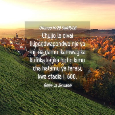 Picture 04 - Ufunuo 14:20 SWHULB - Chujio la divai lilipondwapondwa nje ya mji na - Bible Verse Picture
