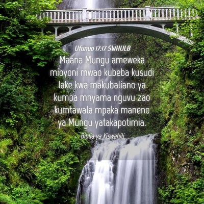 Picture 04 - Ufunuo 17:17 SWHULB - Maana Mungu ameweka mioyoni mwao kubeba kusudi - Bible Verse Picture