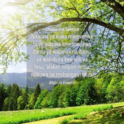 Picture 04 - Ufunuo 17:6 SWHULB - Nikaona ya kuwa mwanamke huyo alikuwa amelewa kwa - Bible Verse Picture