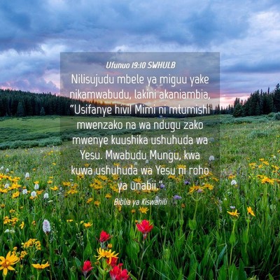 Picture 04 - Ufunuo 19:10 SWHULB - Nilisujudu mbele ya miguu yake nikamwabudu, - Bible Verse Picture