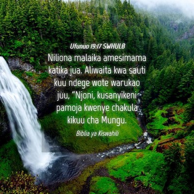Picture 04 - Ufunuo 19:17 SWHULB - Niliona malaika amesimama katika jua. Aliwaita - Bible Verse Picture