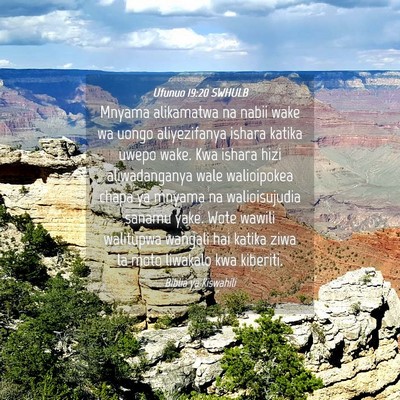 Picture 04 - Ufunuo 19:20 SWHULB - Mnyama alikamatwa na nabii wake wa uongo - Bible Verse Picture
