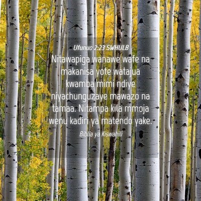 Picture 04 - Ufunuo 2:23 SWHULB - Nitawapiga wanawe wafe na makanisa yote watajua - Bible Verse Picture