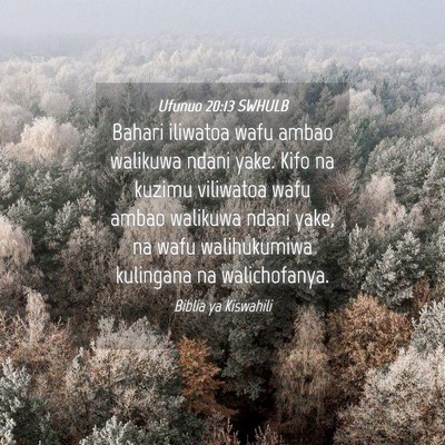 Picture 04 - Ufunuo 20:13 SWHULB - Bahari iliwatoa wafu ambao walikuwa ndani yake. - Bible Verse Picture