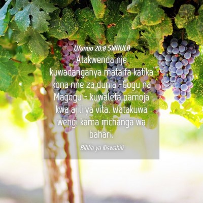 Picture 04 - Ufunuo 20:8 SWHULB - Atakwenda nje kuwadanganya mataifa katika kona - Bible Verse Picture