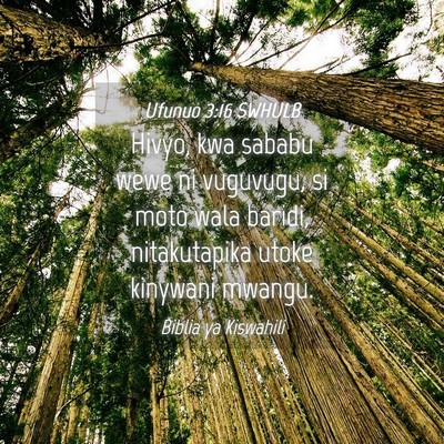 Picture 04 - Ufunuo 3:16 SWHULB - Hivyo, kwa sababu wewe ni vuguvugu, si moto wala - Bible Verse Picture