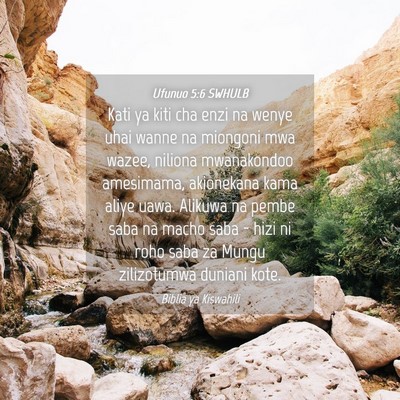 Picture 04 - Ufunuo 5:6 SWHULB - Kati ya kiti cha enzi na wenye uhai wanne na - Bible Verse Picture