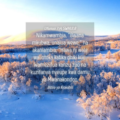 Picture 04 - Ufunuo 7:14 SWHULB - Nikamwambia, “Bwana mkubwa, unajua wewe,” na - Bible Verse Picture