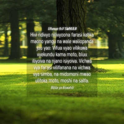 Picture 04 - Ufunuo 9:17 SWHULB - Hivi ndivyo nilivyoona farasi katika maono yangu - Bible Verse Picture