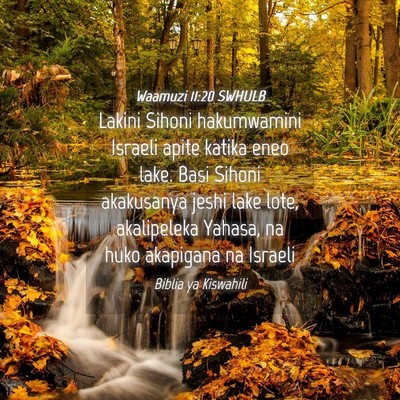 Picture 04 - Waamuzi 11:20 SWHULB - Lakini Sihoni hakumwamini Israeli apite katika - Bible Verse Picture