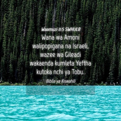 Picture 04 - Waamuzi 11:5 SWHULB - Wana wa Amoni walipopigana na Israeli, wazee wa - Bible Verse Picture
