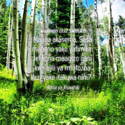 Picture 04 - Waamuzi 13:12 SWHULB - Manoa akasema, Sasa maneno yako yatimike. Je! - Bible Verse Picture