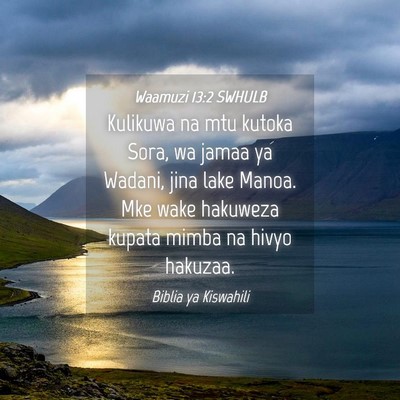 Picture 04 - Waamuzi 13:2 SWHULB - Kulikuwa na mtu kutoka Sora, wa jamaa ya Wadani, - Bible Verse Picture