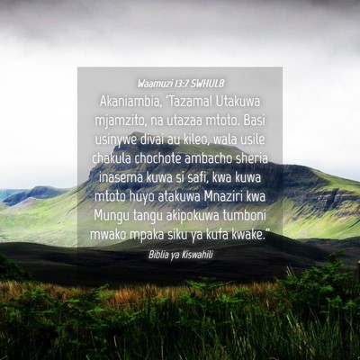 Picture 04 - Waamuzi 13:7 SWHULB - Akaniambia, 'Tazama! Utakuwa mjamzito, na utazaa - Bible Verse Picture