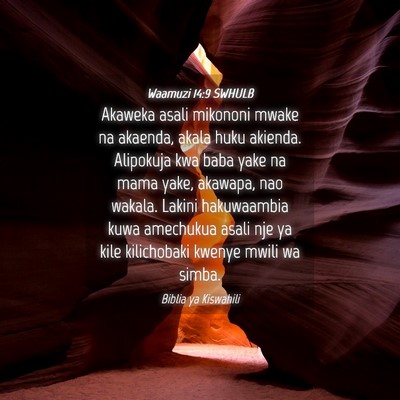 Picture 04 - Waamuzi 14:9 SWHULB - Akaweka asali mikononi mwake na akaenda, akala - Bible Verse Picture