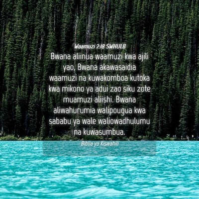 Picture 04 - Waamuzi 2:18 SWHULB - Bwana aliinua waamuzi kwa ajili yao, Bwana - Bible Verse Picture