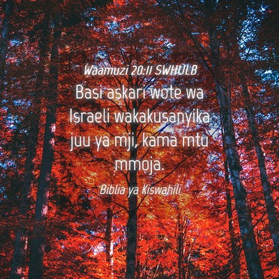 Picture 04 - Waamuzi 20:11 SWHULB - Basi askari wote wa Israeli wakakusanyika juu ya - Bible Verse Picture